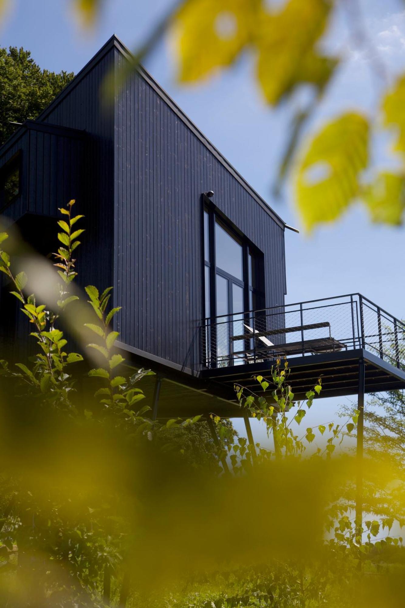 Villa Treeangle - K1 Baumhaus Odenthal Esterno foto